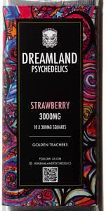 BUY Dreamland Psychedelics Mushroom Chocolate